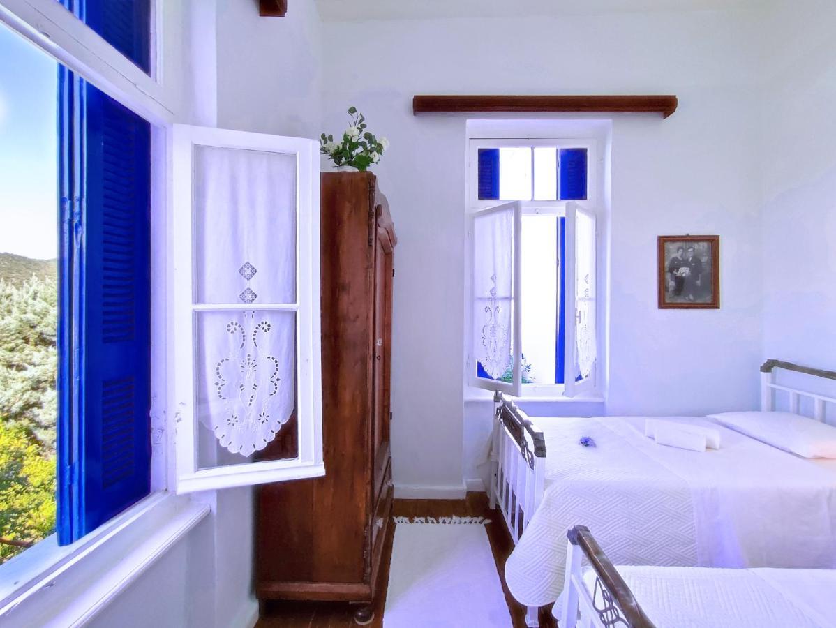 Anticlea I Villa Vathy  Buitenkant foto